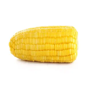 出厂价干黄玉米-干玉米出售