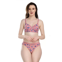 Bikini Sexy de Dos Piezas para Mujer de Talla Grande a Precio Barato de Mayoreo con Estampado Animal y Logo de Color Personalizado Ecológico