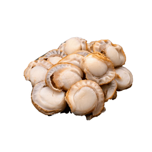 Carne de Vieira Hervida de Alta Calidad a Bajo Precio, Seca por Congelación (FD), Congelada en Estado Blando (BQF), Origen Alemania, Empaque Personalizado para Distribuidores, Demanda Constante - Product Image 1