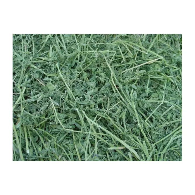 Hot Selling Wheat Straw Hay, Hay for Animal Feed at wholesale price