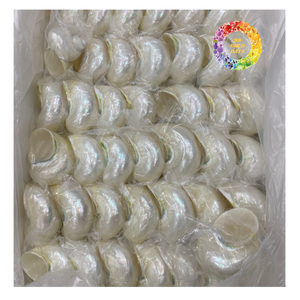 Turbo Shell Material artesanal pulido para joyería y artesanía Exportación de Vietnam de alta calidad - Product Image 4