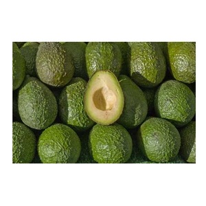 ผู้จัดจำหน่ายอะโวคาโดสดราคาส่ง มีสินค้าจำนวนมาก จัดส่งรวดเร็ว - Product Image 4