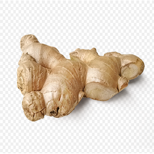 Nouvelle récolte de gingembre frais à vendre racine de gingembre saveur épicée et parfumée de qualité supérieure-exportateurs de gingembre - Product Image 4