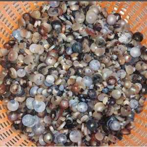 Botones Ecológicos de Cuerno de Vaca para Chaquetas y Decoración de Solapas, Botones Artesanales Modernos Hechos a Mano a Precio Económico - Product Image 6