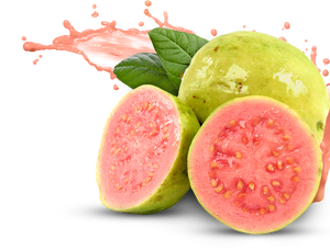 Poudre de goyave rose en gros | Approvisionnement en vrac pour l'industrie des boissons et des desserts - Product Image 4