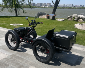 Bicicleta Eléctrica de Cuatro Ruedas SMD-A04 48V30AH X2 con Motor de Torque Medio de 1000W y Transmisión Shimano de 7 Velocidades BAFANG - Product Image 5