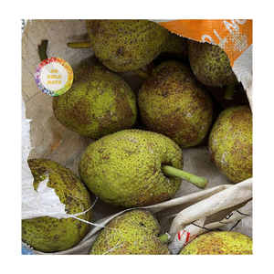 ARÔME NATUREL DE FRUITS À PAIN CONGELÉS IQF EN VRAC POUR LA PRODUCTION ALIMENTAIRE ET L'EXPORTATION DU VIETNAM - Product Image 6