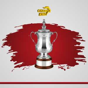 Stainless Steel Sports <b>Trophy</b> <b>Cup</b> Customized Achievement Award Display Durable Premium Quality - Product Image 2