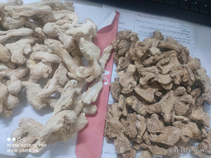 Raíz de jengibre seca a granel de alta calidad de Bao Tram Anh Company, agricultura fresca de Vietnam suministrada directamente a granjero vietnamita - Product Image 3