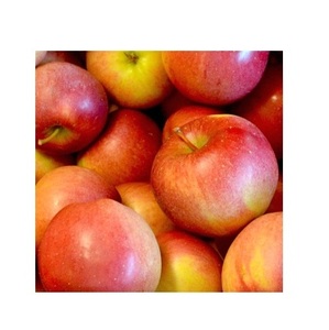 Manzanas de vino frescas de granja a precio barato-Alimentos frescos a granel a la venta a granel con entrega rápida - Product Image 5