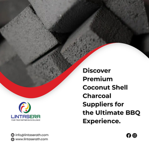 Charbon à chicha en coquille de noix de coco, haute qualité de Thaïlande, vente en gros, 100% naturel, Lintas Era - Product Image 6