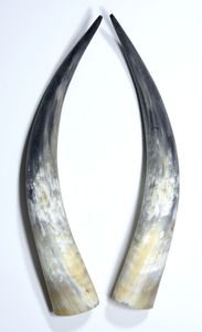 Cuerno para beber vikingo medieval hecho a mano 500ml taza de cuerno natural para cerveza Ale Mead celebraciones tradicionales ocasiones navideñas - Product Image 2