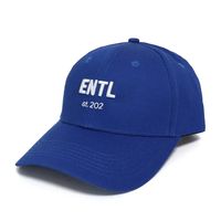Gorra Deportiva Unisex de 6 Paneles, Ligera, de Secado Rápido, Transpirable/Impermeable, con Diseño de Leopardo, Logotipo Bordado en 3D Personalizado, Estilo Golf Dad Hat
