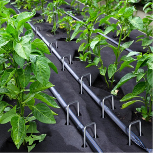 Clous de fixation pour jardin, <span class=keywords><strong>agrafes</strong></span> en forme de U, piquets pour géotextile, <span class=keywords><strong>agrafes</strong></span> pour gazon, <span class=keywords><strong>agrafes</strong></span> d'irrigation - Product Image 4