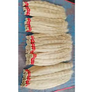 Venta al por mayor precio razonable suave y sedoso virgen y crudo indio templo pelo rubio recto pelucas de cabello humano - Product Image 2