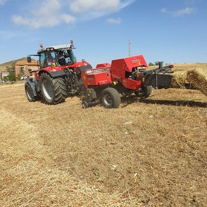 Tractor Massey Ferguson 1842E de calidad superior disponible ahora, entrega rápida, obtenga la mejor oferta agrícola al por mayor - Product Image 5