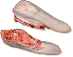Halal lengua de ternera congelada Exportación - Product Image 1