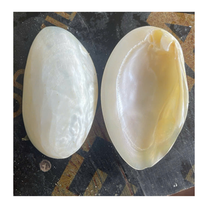 Haute qualité nacre Vietnam nacre coquille tranches pour incrustation artisanat bijoux accessoires meubles décor - Product Image 2