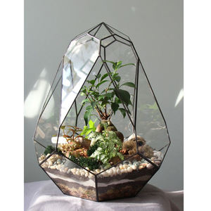 Clear Glass <b>Geometric</b> <b>Terrarium</b> Planter Vase Black Coated Handcrafted <b>Terrarium</b> Vase in Wholesale Prices for Home & Garden Decor - Product Image 5