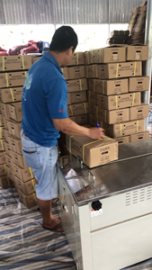 มันเทศสีม่วงจากเวียดนาม-ส่งออกทั่วโลก - Product Image 5