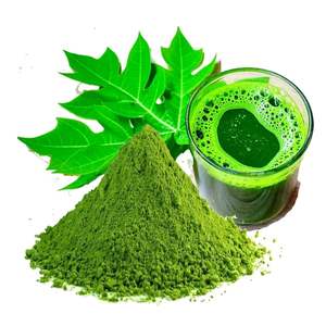 ผงใบมะละกอคุณภาพสูงสารเพิ่มพลังงานฉลากสะอาดออร์แกนิก - Product Image 2