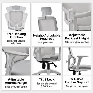 Sedia da Ufficio Allinhome S3003 in Rete con Poggiatesta e Braccioli Regolabili, Design Moderno con Telaio in Alluminio per Studio - Product Image 3