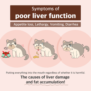 ดร. โดยอาหารเสริมดูแลสุขภาพสัตว์เลี้ยง70เคี้ยวดูแลตับสุนัขนมหนามไม่มีเนื้อเพิ่มเติมไม่มีสีเทียมสำหรับสัตว์เลี้ยงธรรมชาติ - Product Image 4