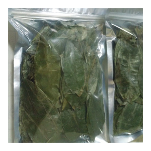 ใบชาสมุนไพรแบบหลวมบรรจุใบ soursop graviola แห้งกลิ่นแบบใบทั้งใบ - Product Image 5