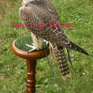 Ensemble de blocs en bois de fauconnerie portable en gros plaque supérieure de 6 pouces avec bloc de trois pièces d'origine en astroturf - Product Image 4