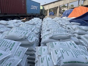 Fertilizante de fosfato diamónico DAP 18-46-0 Fertilizante Pureza Dap Fosfato diamónico - Product Image 3