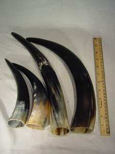 CORNE NATURELLE DE MEILLEURE QUALITÉ Célébrez Noël avec une corne à boire Viking authentique pour l'hydromel et les acclamations des fêtes - Product Image 4