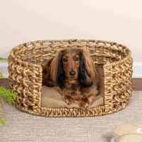 Panier pour animaux de compagnie en saule fait à la main, nid pour animaux de compagnie en jacinthe d'eau tendance, lit pour chien et chat en fibre naturelle, cage