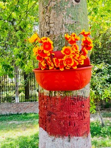 Jardinières en plastique murales modernes Pots de fleurs suspendus ovales pour usage intérieur et extérieur Accessoire de jardin décoratif - Product Image 4