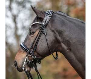 Brida de caballo con banda de cejas de moda Brida de alta calidad con banda exclusiva para cejas - Product Image 6