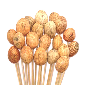 Amra Pod Vase séché Remplisseurs Plantes décoratives Pot-pourri pour la maison ou le bureau Design floral élégant pour l'intérieur - Product Image 3