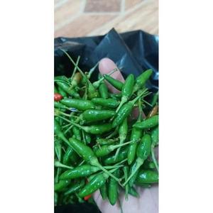 VENTE EN GROS Piments rouges et verts CONGELÉS FOURNITURE EN VRAC DE QUALITÉ SUPÉRIEURE HOT DEAL TOP VENTES PRODUIT NATUREL D'EXPORTATION - Product Image 3