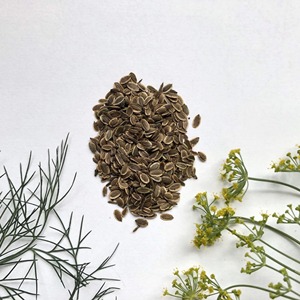 100% graines d'aneth naturelles et propres offertes en vrac à partir de l'approvisionnement direct de la ferme en graines d'aneth séchées - Product Image 4
