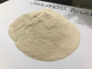 <b>NATURAL</b> POWDER <b>Sea</b> <b>Moss</b> Powder Rich Nutrients From Authentic Supplier - Product Image 2