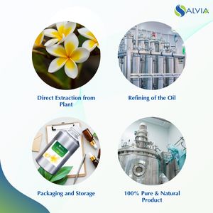 Aceite de Frangipani 100% puro y natural al por mayor a granel precio más bajo embalaje personalizado - Product Image 4