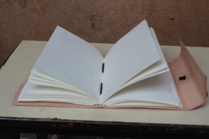 Màu hồng dập nổi da chính hãng Tạp Chí với màu xanh đá đen bông chủ đề gần hơn văn phòng nhật ký hoa mô hình đầy đủ cuốn sách phong cách - Product Image 5