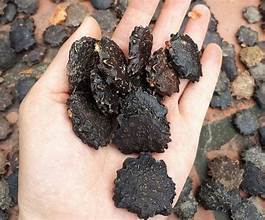 ฉลากสะอาดเมล็ด Gac แห้งทั้งเมล็ดสำหรับการป้องกันภูมิคุ้มกันจากพืชและการดูแลสุขภาพข้อต่อ - Product Image 4