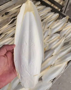 Việt Nam Khô mực băng-tỉa mực xương mà nhiều kích thước/Loại tự nhiên và tẩy trắng mực xương - Product Image 2