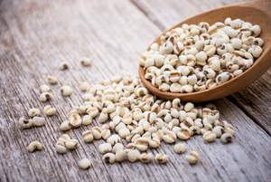 เวียดนามเมล็ด Coix เกรดพรีเมี่ยมสำหรับการเก็บรักษา12เดือนเครื่องดื่มอาหารเมล็ดพืชออร์แกนิกธรรมชาติสารอาหาร - Product Image 2