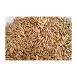 ผงสกัดมอลต์ข้าวบาร์เลย์บริสุทธิ์ได้รับการรับรองมาตรฐาน ISO แบบแห้ง - Product Image 4