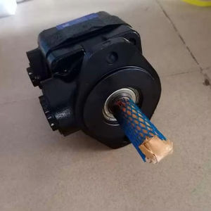 Bombas de Paletas Simples y Dobles SDV SDV10 SDV20 SDV2010 SDV2020 SDV10-1B1B-1A SDV10-1B2B-1B SDV10-1P7P-1A SDV10 1S3S 1A - Product Image 1