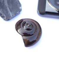 Perles de pierres précieuses sculptées en coquille de conque en pierre d'onyx noir naturel pour la fabrication de pendentifs de bijoux percés en vrac 25mm en vrac