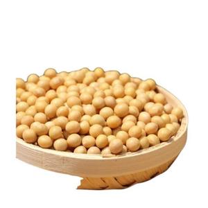 Granos de soja de buena calidad de alta calidad sin OGM Grano de soja crudo en bolsas Semillas de soja orgánicas a granel para alimentos - Product Image 4