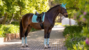 High quality English <b>saddle</b> pad wholesale soft inner fleece lining durable outer material breathable lightweight equestrian - Product Image 5