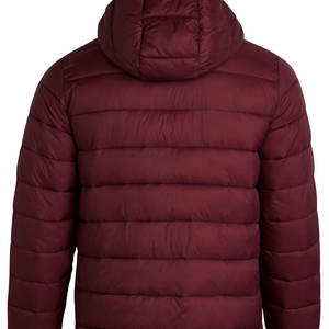 เสื้อแจ็คเก็ตผู้ชายแบบมีฮู้ด สไตล์ลำลองสำหรับฤดูหนาว แขนยาว ดีไซน์ทันสมัย พร้อมโลโก้สั่งทำพิเศษ - Product Image 5