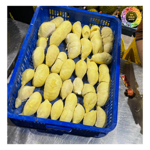 Durian Ri6 congelé, viande Monthong, pulpe de durian au goût sucré de qualité supérieure IQF, Mongthong congelé et Ri6 Durian pour desserts, smoothies - Product Image 5